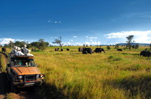 Safari in Africa