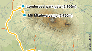 Day 2, Through the Lemosho glades