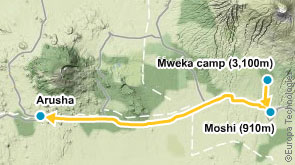 Day 7, Trophies at Mweka gate