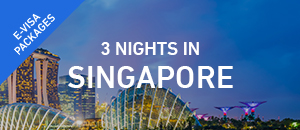 3 nights in Singapore - E-vis...