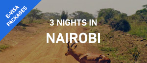 3 nights in Nairobi - E-Visa...