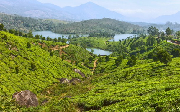 Highlights of Munnar, Kerala