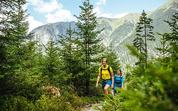 Salzburgerland forests - Hiking, nature walks - 4