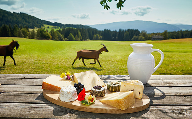 Salzburgerland forests - Local food - 3