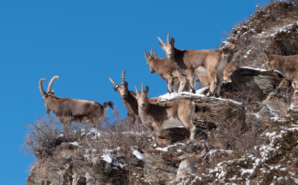 Ala Archa National Park