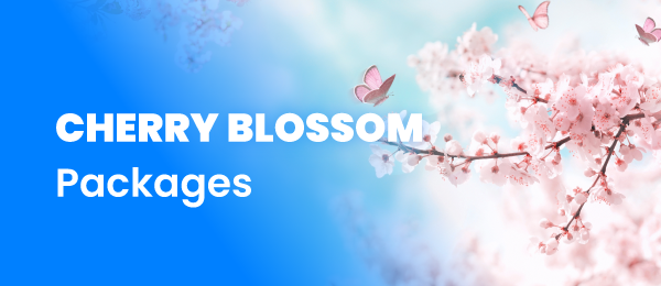 Japan Cherry Blossom Package