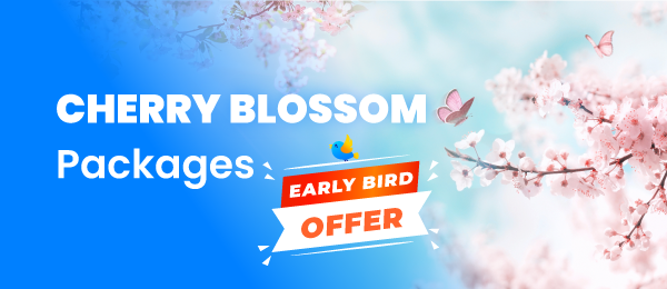 Japan Cherry Blossom Packages