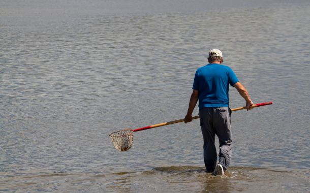 Crab Hunting in UAE