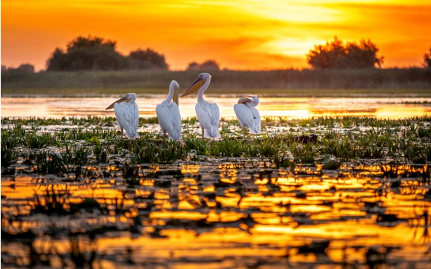 Danube Delta