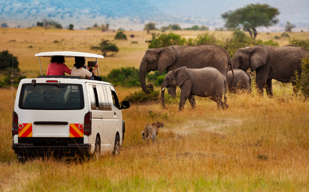 Game Drive Kenya