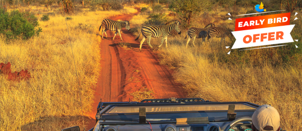 Kenya Tour Package