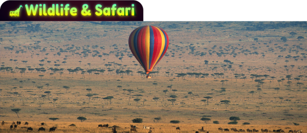 kenya Tour Package 