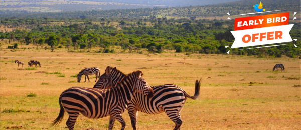 Kenya Tour Package 