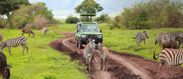 Kenya Tour Package 