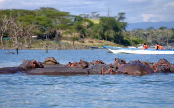 Lake Naivasha 