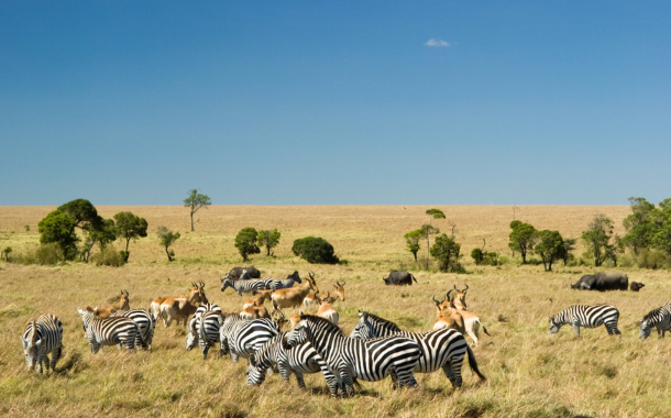 Masai Mara Package