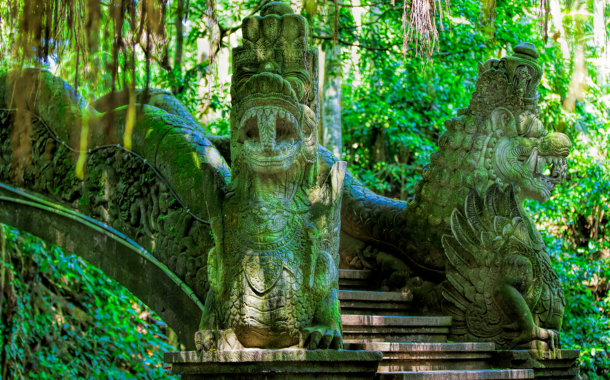 Monkey Forest  In Bali