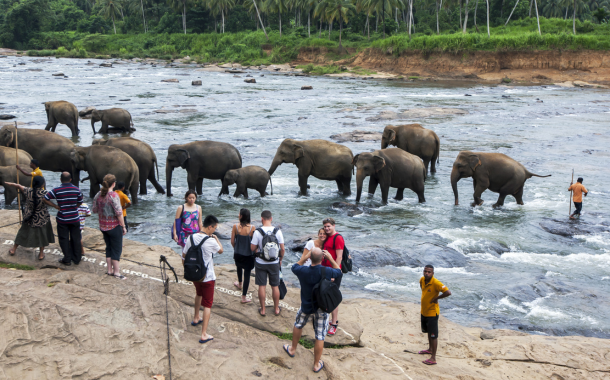 PINNAWALA ELEPHANT ORPHANAGE