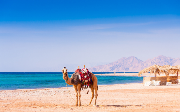 Red Sea Tour Packages