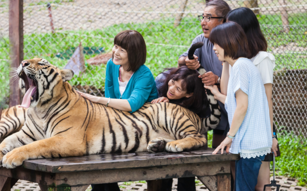 Tiger Kingdom Phuket