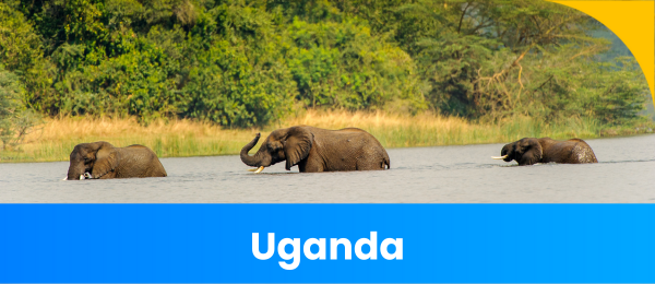 Uganda evisa thumbnail 