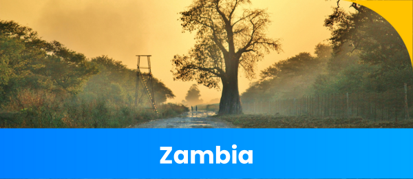 Zambia evisa thumbnail