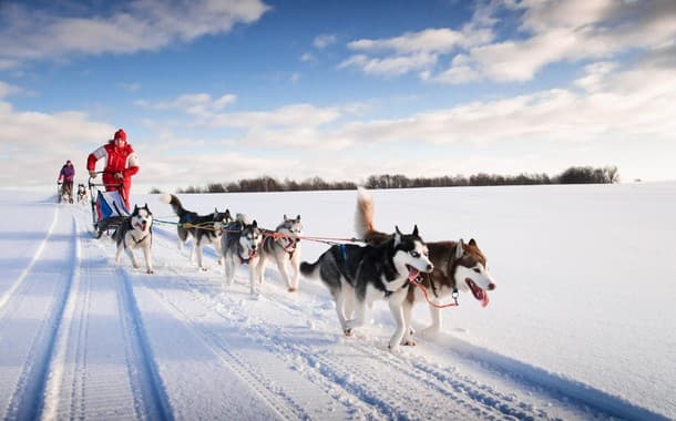 Dog sledding in Alaska