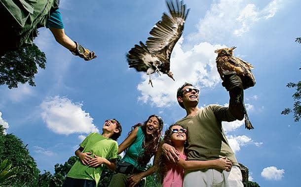 Jurong Bird Park
