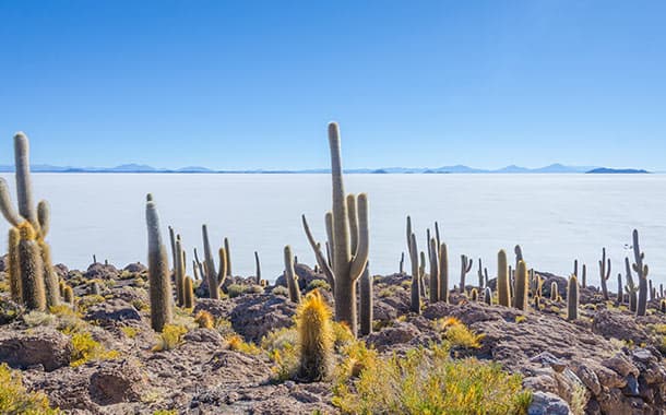 Salar-de-Uyuni,-Bolivia5