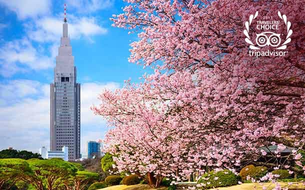tokyo3-4