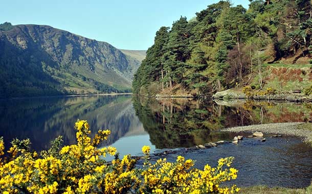 Wicklow-mountains,-Ireland4