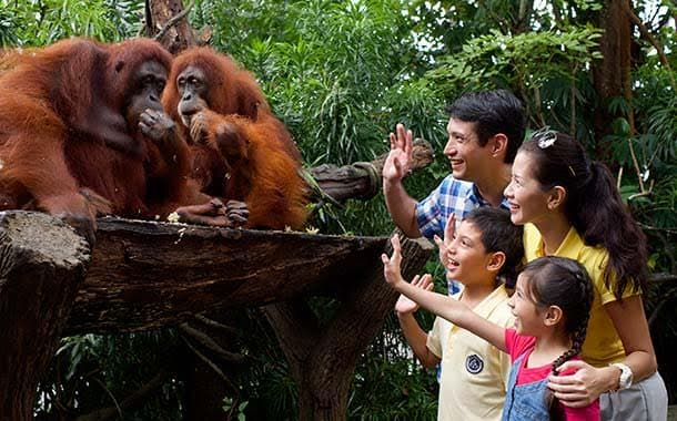 zoo